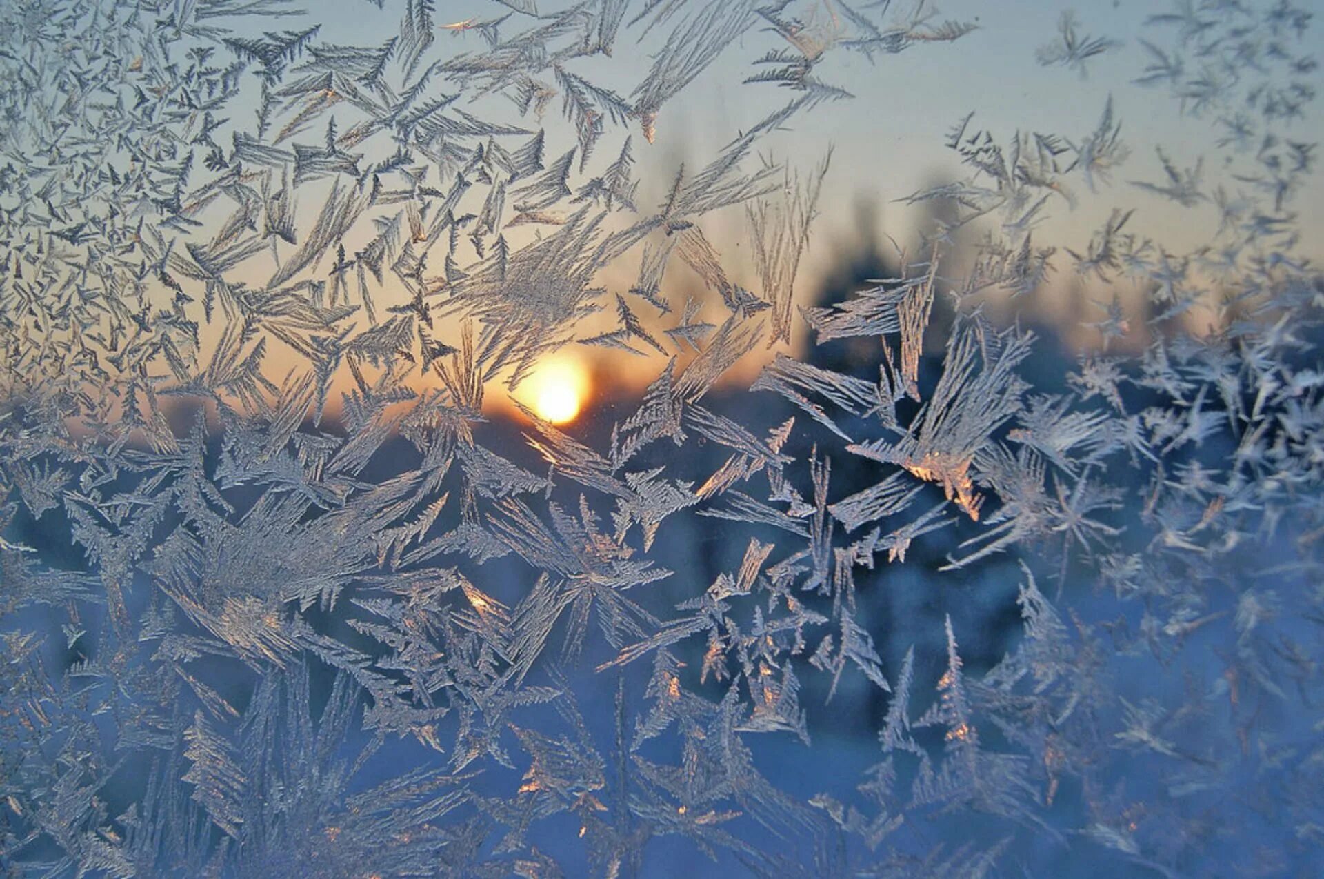 При сильных морозах на стеклах. Морозное окно. Морозные узоры. Зимнее окно. Морозные узоры на стекле.