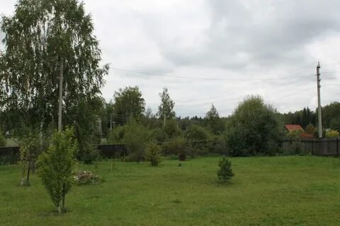 Ольхово плесково