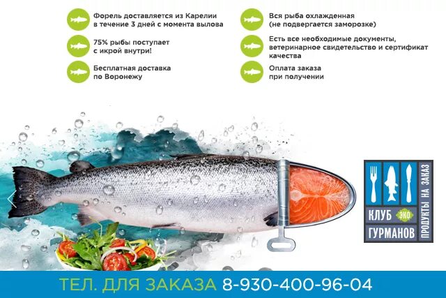 Салмон рыба. Полезные витамины в семге. Форель польза для женщин. Пищевая ценность рыба форель. Форель полезные свойства.