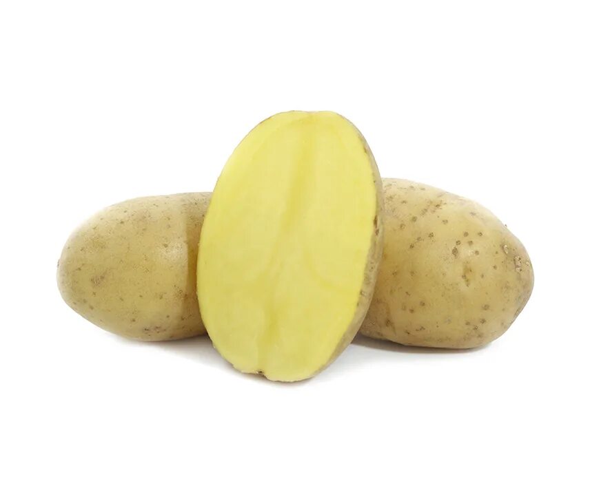 Картофель семенной, сорт Вега. Сорт Вега. Картофель сорт пароли. Картофель Вега фото.