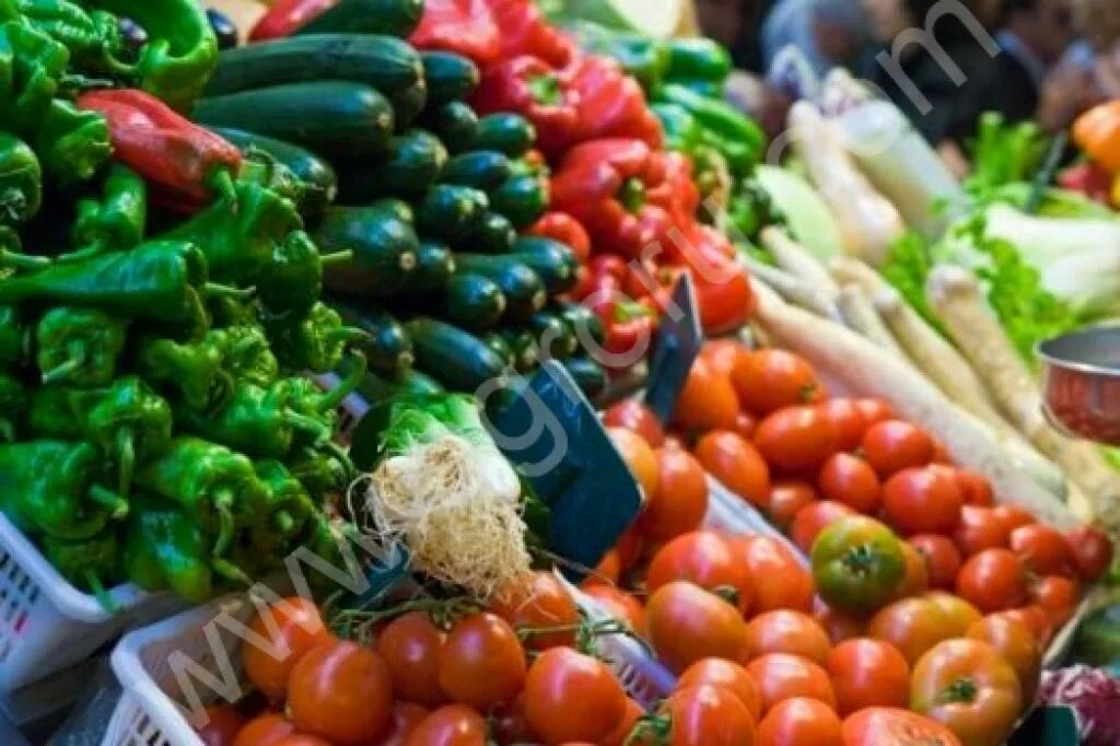 Килограмм овощей цена. Холод для овощей. Овощи оптом. Производство овощи Юга. Малоформатная торговля.