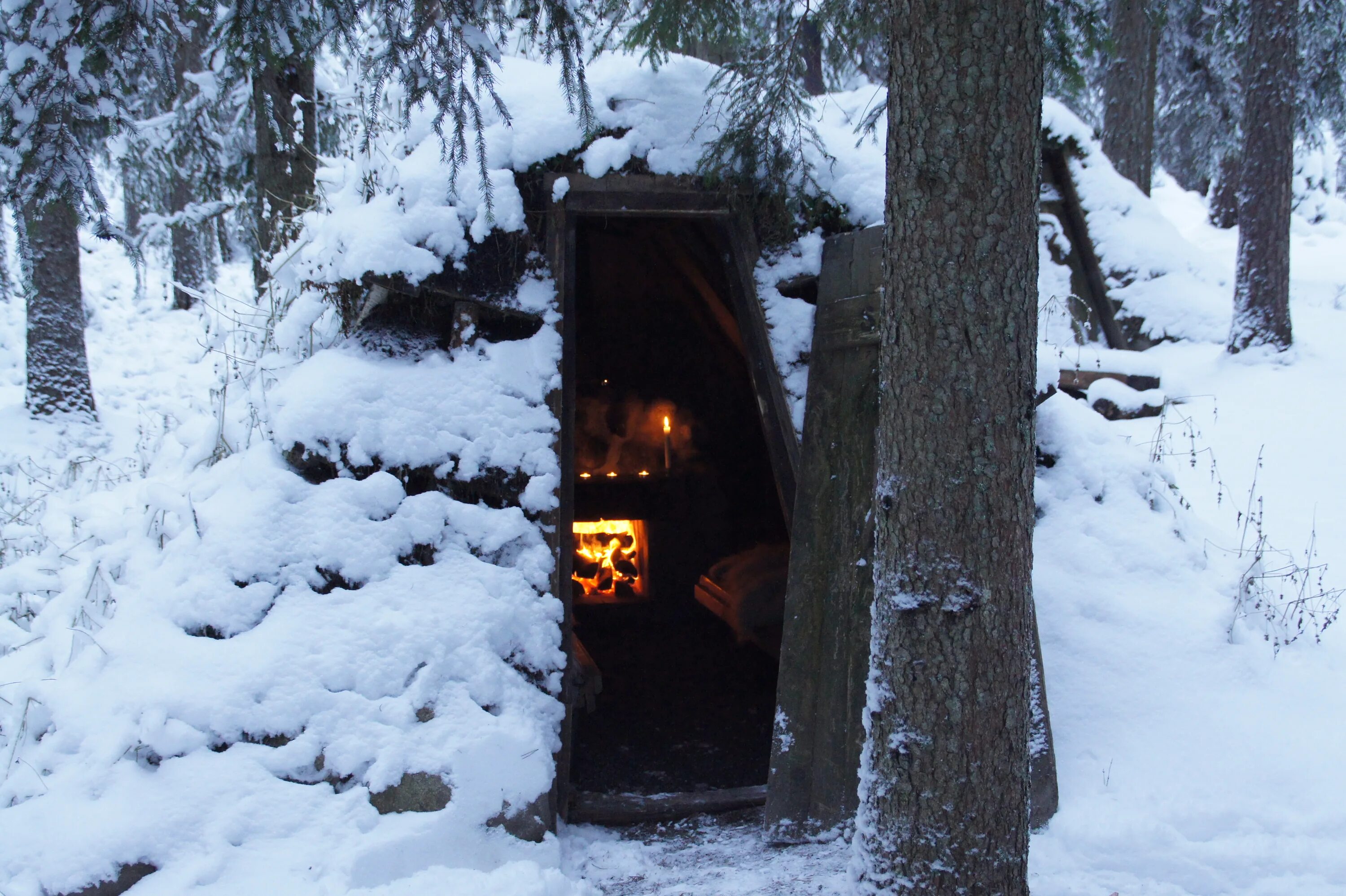 Отель Kolarbyn Ecolodge. Kolarbyn Ecolodge Швеция. Зимний домик с печкой в лесу. Землянка в лесу. Зайдешь в такую избушку зимой жилым