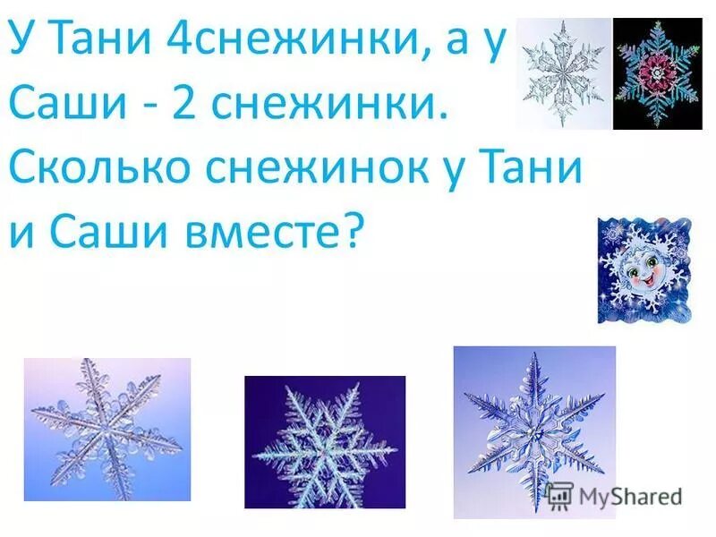 лучи снежинки. количество снежинок. количество снежинок. почему снежинка имеет шесть лучей. количество снежинок.
