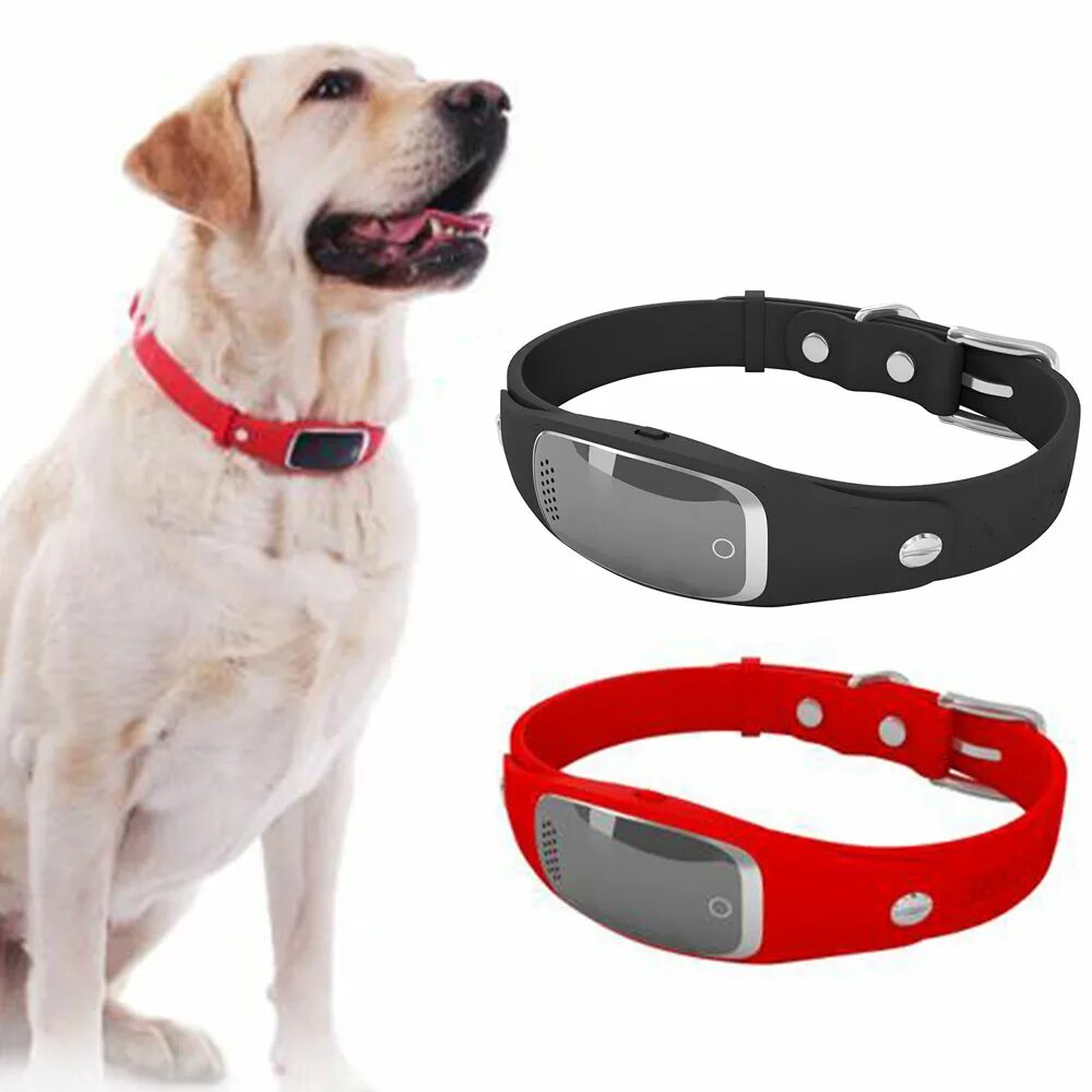 Gps трекер для животных. Ошейник pet gps-трекер. трекер pet gps tracker для питомцев. gps ошейник &quot;dog x30t&quot;. мини жпс трекер для собак.