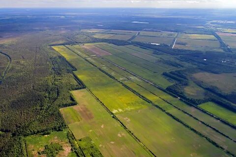80 гектаров
