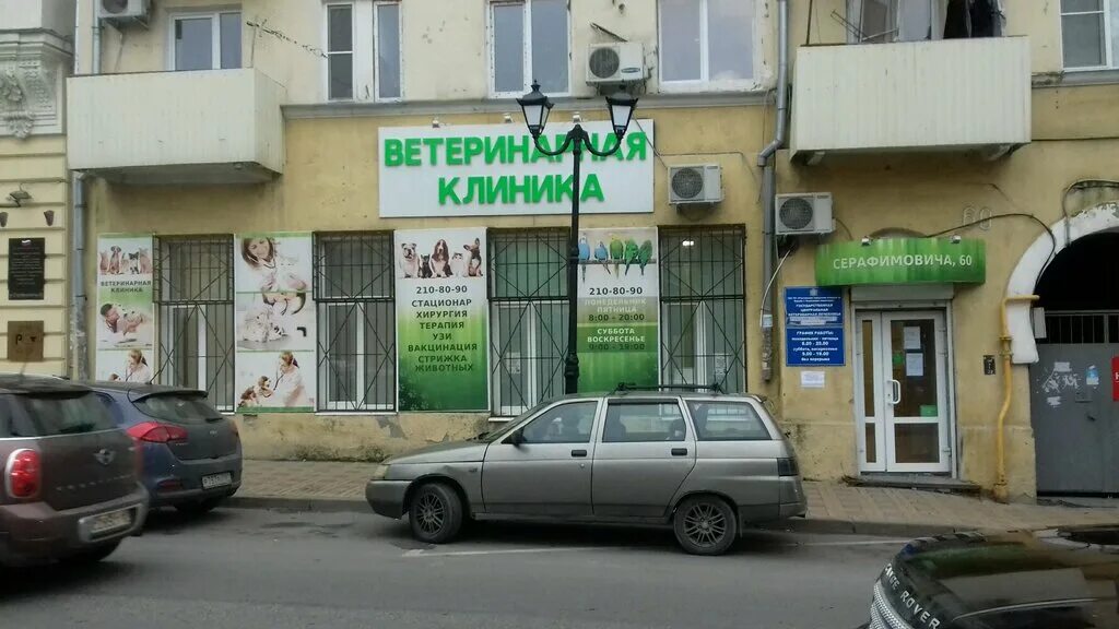 зубков владимир ветеринар. ветеринарка феникс мадояна. государственная ветклиника ростов. государственная ветклиника ростов. ветеринарная клиника ростов на дону.