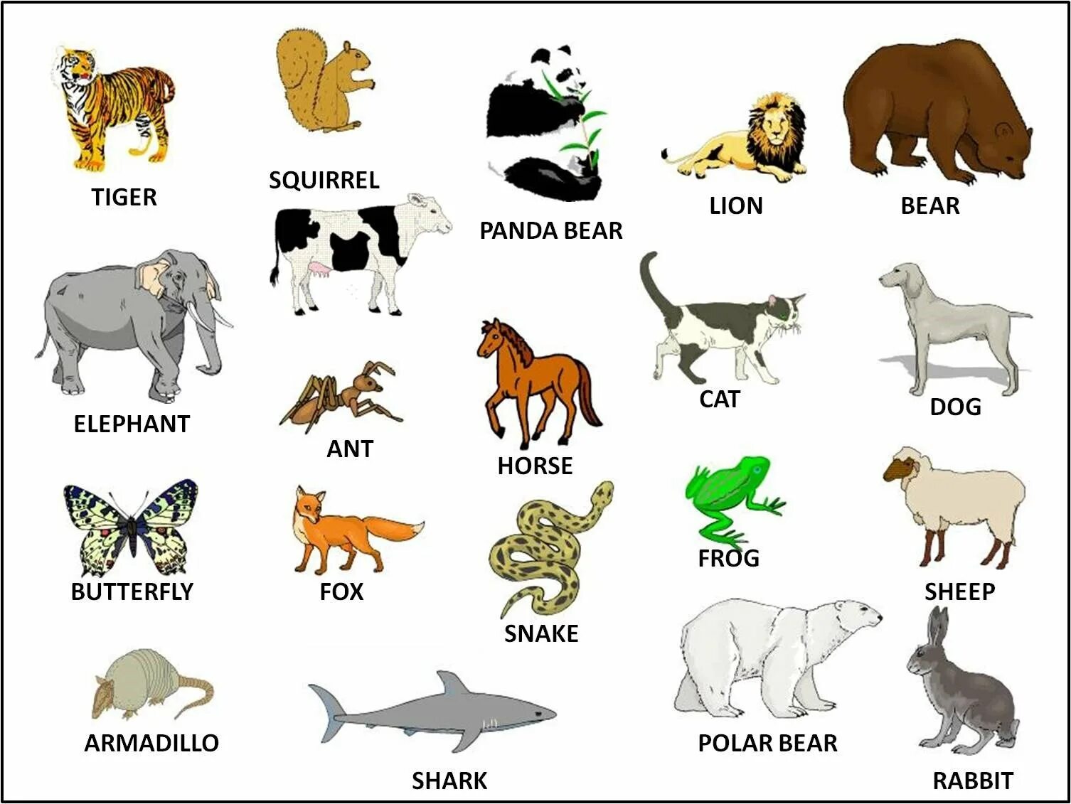 Ев 5 букв. Английский язык слова животные. Дикие животные на английском языке. Животные на английском языке с переводом. Слова животные на английском языке с переводом.