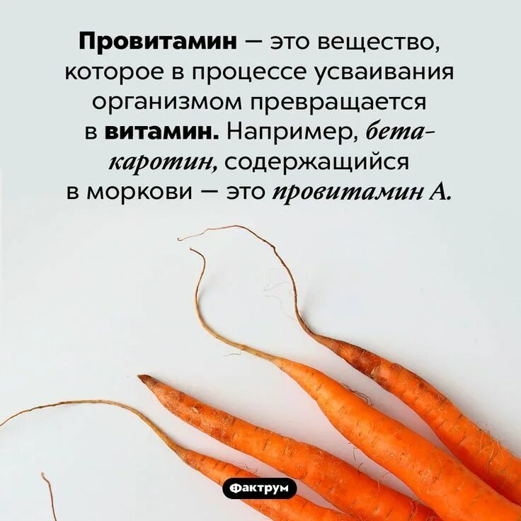 Каротин цвет. Каротин в моркови 7 букв сканворд. Каротин в моркови 7 букв сканворд. Морковь для презентации. Каротин в моркови 7 букв сканворд.