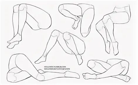 Leg reference. Leg reference