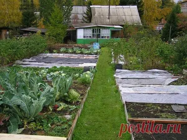 Pretty Raised Bed : Best Source Information Home Architecture Backyard garden la