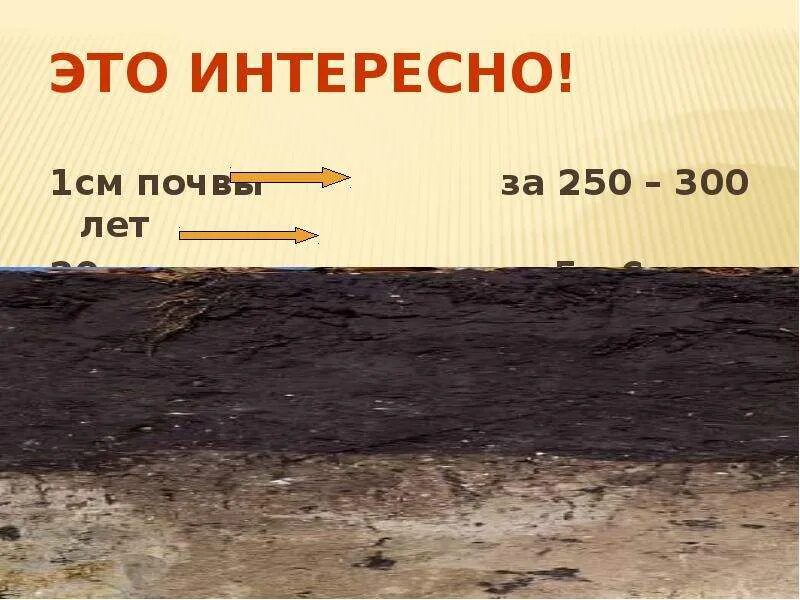 Почва ее строение и состав презентация. Состав почвы. почва презентация. состав и свойства почвы. состав почвы презентация.