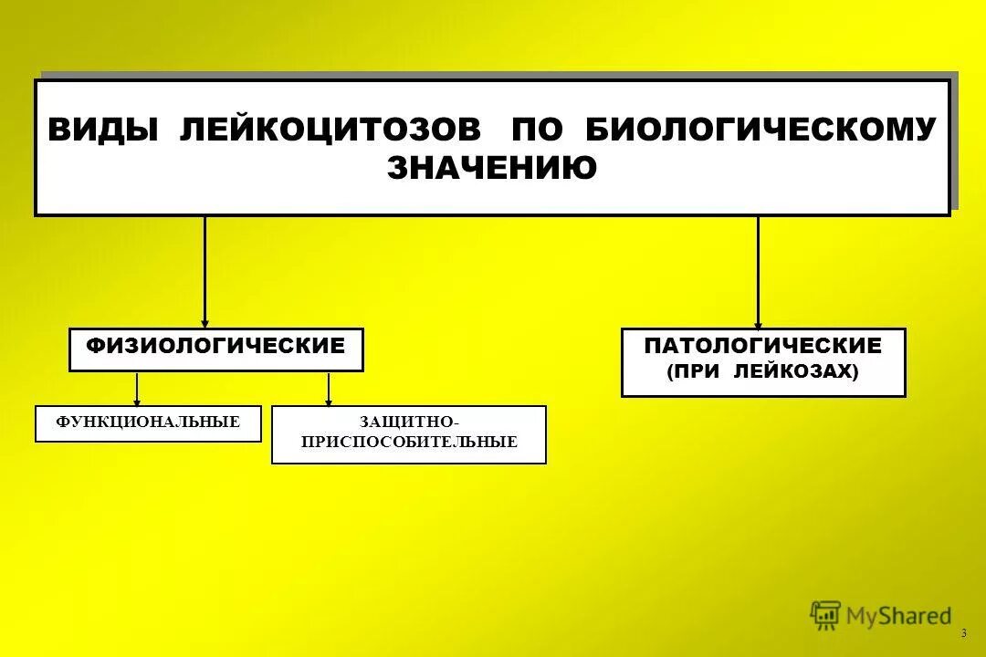 Виды лейкоцитозов. Виды физиологического лейкоцитоза. Физиологический лейкоцитоз патофизиология. Лейкоцитоз значение.