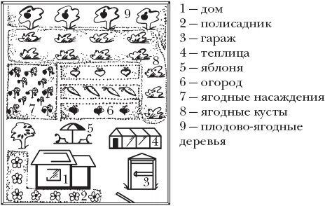 Схема сада плодовых деревьев