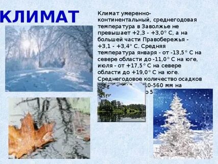 Где больше осадков на правобережье или заволжье