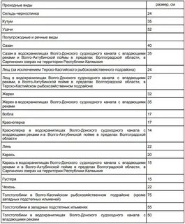 Разрешенные размеры