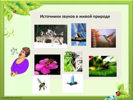 Источники звука 2 класс естествознание