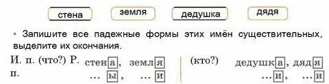Род слова дедушка