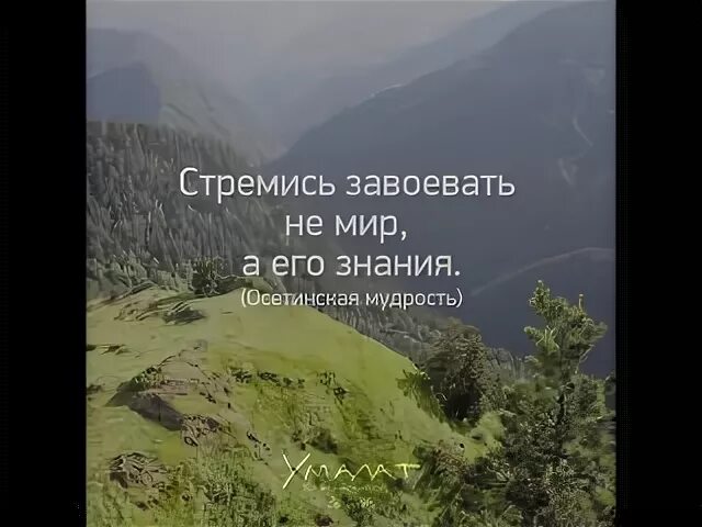 Стремись завоевание. Стремись завоевание. Политехнические партии. Вершина горы. Отличительный признак партий.