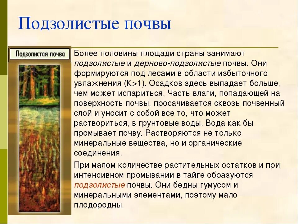 Между какими широтами распространены подзолистые почвы. Подзолистые почвы характерны. особенности подзолистых почв. подзолистые почвы, доклад 8 класс география. подзолистые почвы характеристика.