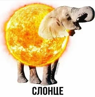 Батутка шаурмуха тигриб