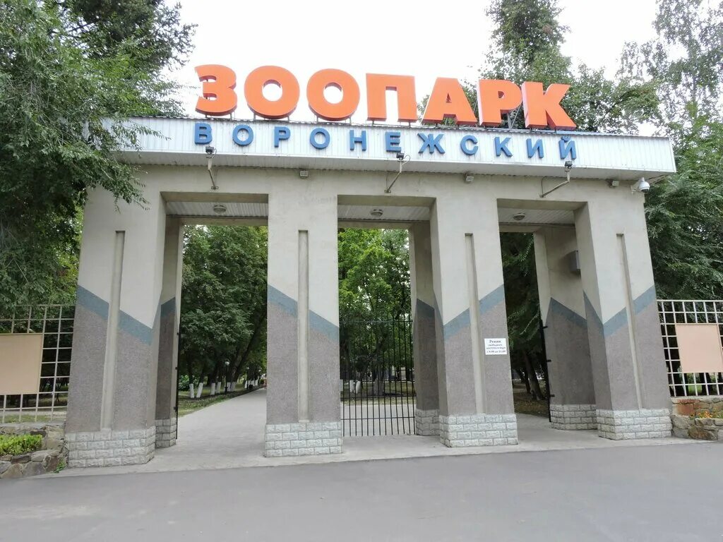 Радуга ул полины осипенко 6 воронеж фото Ул полины осипенко 6
