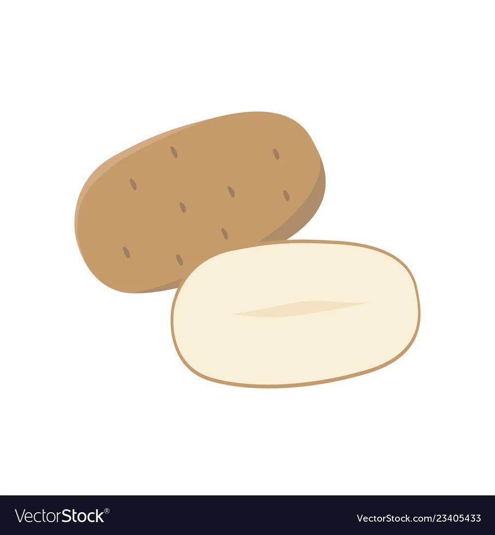 картофель молодняк png Klipartz