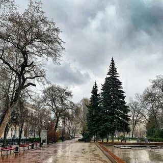 Воронеж лучше москвы