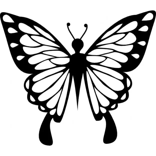 Силуэт бабочки. Бабочка рисунок. Векторные бабочки. Бабочка черно белая.