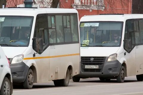 Воронеж отрадное автобус