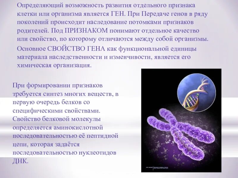 Днк носители информации. Днк носитель наследственной информации. хромосомы носители наследственной информации. носители наследственной информации в клетке. что такое наследственная информация в биологии.