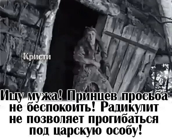 Просьба особый. Радикулит не позволяет прогибаться под царскую особу. ищу мужа принцев просьба. не прогибайся под мужчину. ищу мужа, принцев просьба не.
