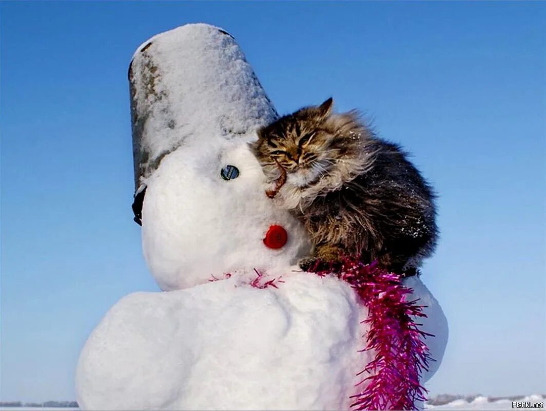Со 2 днем зимы. Со 2 днем зимы