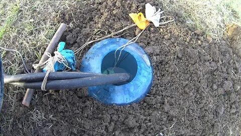 Как вывести крота с участка