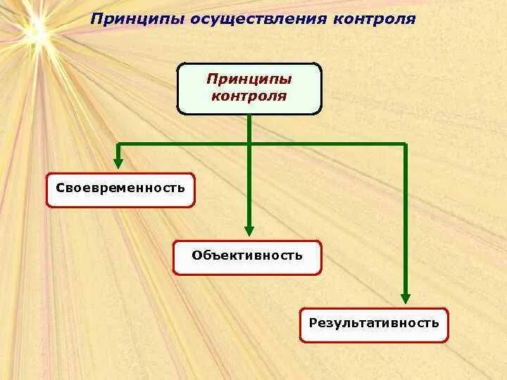 Принципы реализации контроля. Принципы осуществления контроля. Принципы контроля в менеджменте. Перечислите принципы контроля:. Основные принципы осуществления контроля.