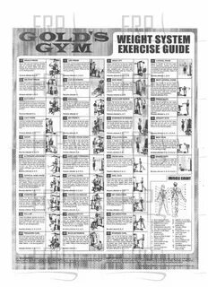System exercise