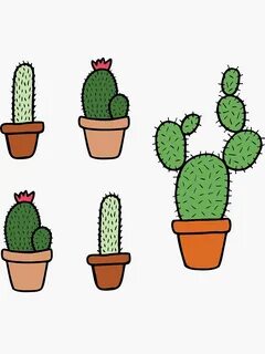 Cute cactus #AD , #sponsored, #AD, #cactus, #Cute  Fotos de cactus, Arte  com cactos, Cactos desenho