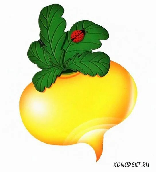Посадка репы семенами в открытый грунт и на рассаду, можно ли ее пересаживать по