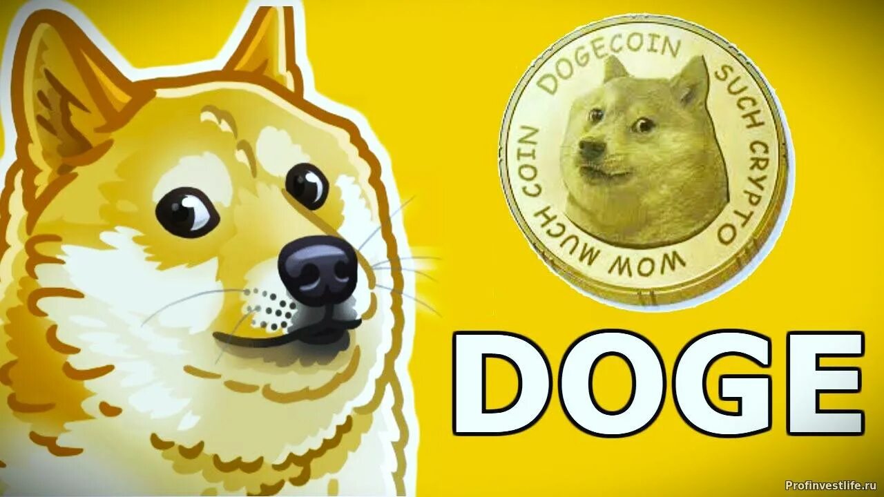 Доги коин цена. Монета догикоин. Порода собак Dogecoin. Криптовалюта с собакой. Dogecoin логотип.