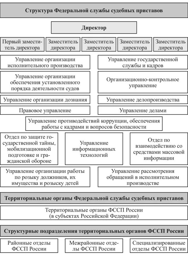 Федеральная служба судебных приставов деятельность. Структура ФССП РФ схема. Структура органов ФССП России схема. Структура, функции и полномочия ФССП России. Схема структуры отдела Федеральной службы судебных приставов.