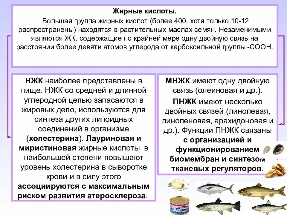 физиологически полноценные жиры какие. жиры в пище. предельные с4 жирные кислоты. жиры роль в питании. наиболее физиологически полноценные жиры.
