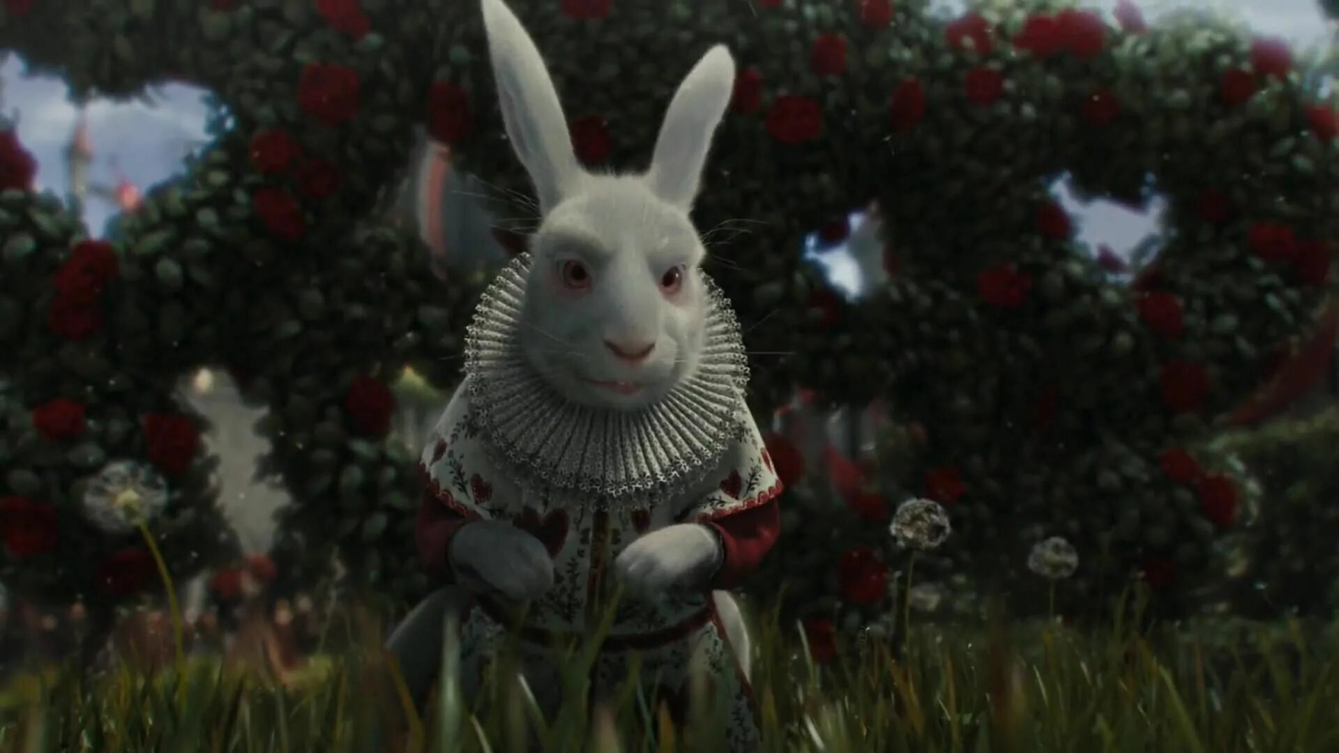 Rabbit movie. Белый кролик тим Бертон. Алиса в стране чудес тим Бертон. Кролик Алиса в стране чудес.