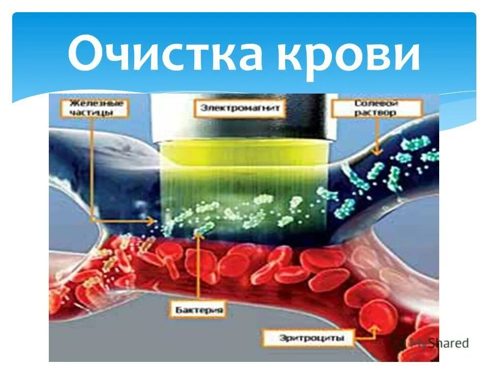 Вода чистит кровь