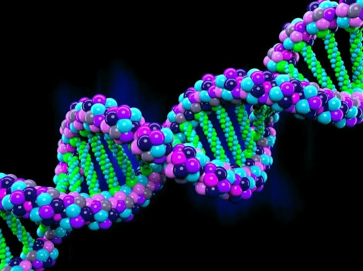 Соединение в днк клетки. Молекула нуклеиновой кислоты. Дезоксирибонуклеиновая кислота ДНК. Молекул нуклеиновых кислот ДНК. Молекула ДНК гены.