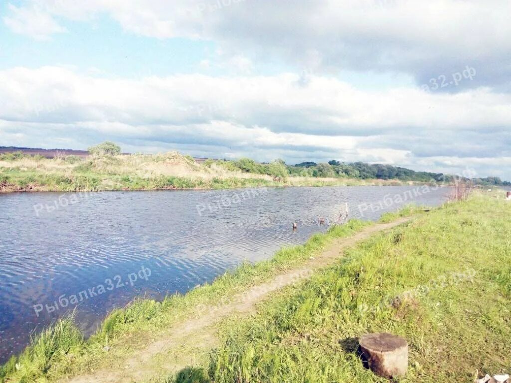 Платная рыбалка в орловской области. Река Лубна Орловская область. Пруд Лубна Орловская область. Рыбхоз Лубна Орловская. Сухая Лубна Липецкая область пруд.