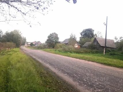 Погода красноселье