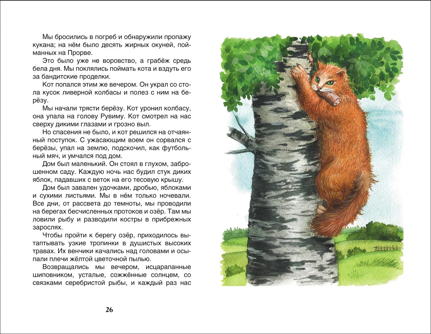 Сказка барсучий нос читать. Паустовский барсук барсучий нос. к. паустовский &quot;барсучий нос&quot;. рассказ паустовского барсучий нос.