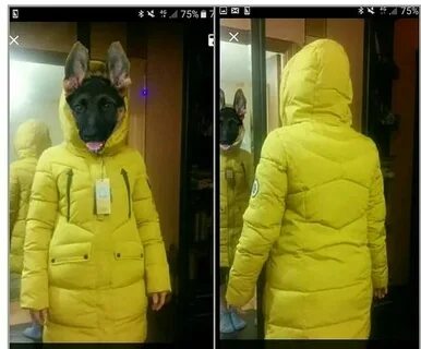 Заказанный товар не пришел