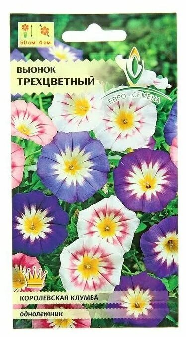 вьюнок трехцветный смесь 0,5 г. вьюнок канкан смесь. вьюнок трехцветный семена. семена гавриш вьюнок трехцветный голубой 0,5 г. вьюнок канкан смесь.