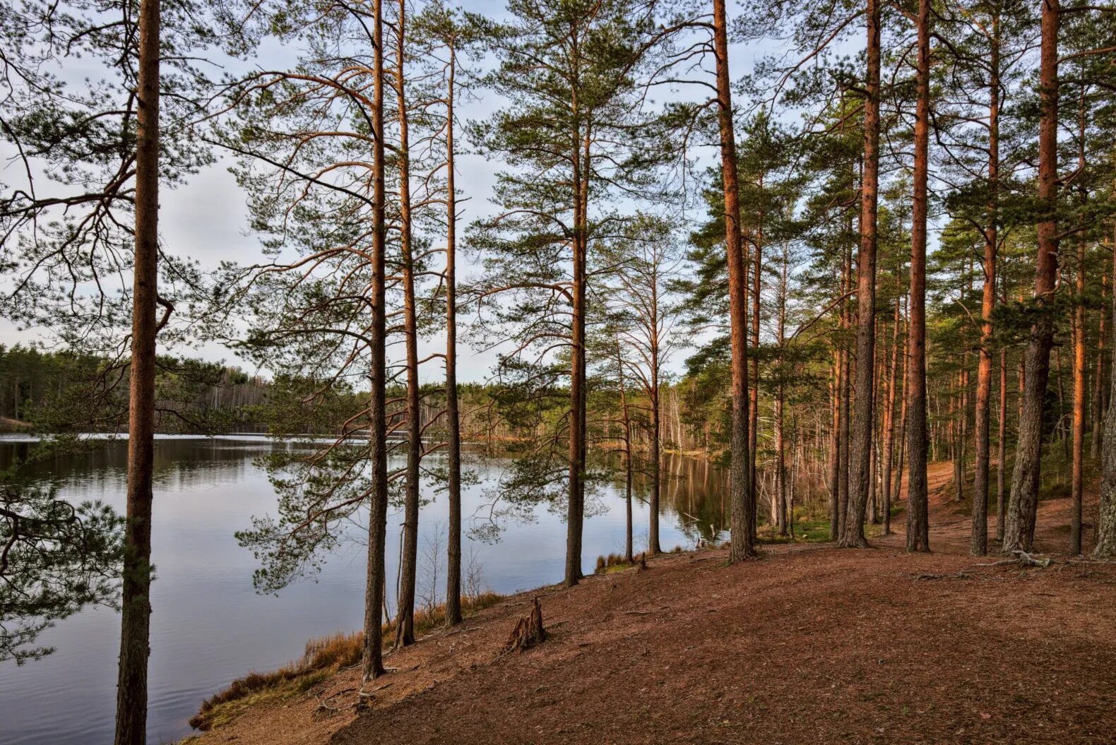 Озеро суоми финляндия. Озеро яппиля на карте. Озера финляндии. Финский залив. Зеркальное озеро лес.