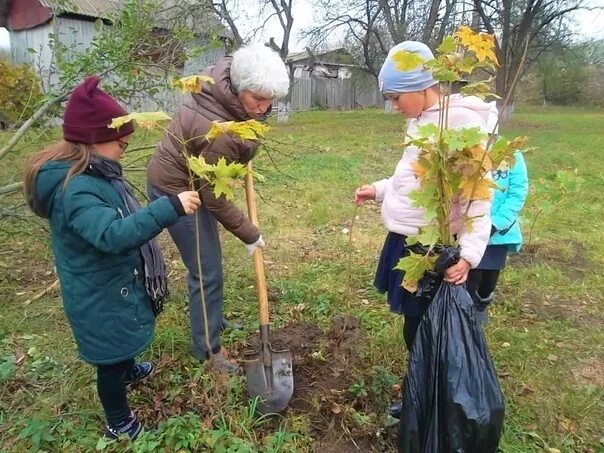 Посадка деревьев в доу. Посадка деревьев акция. акция посади дерево. школьники сажают деревья. экологическая акция посади дерево в детском саду.
